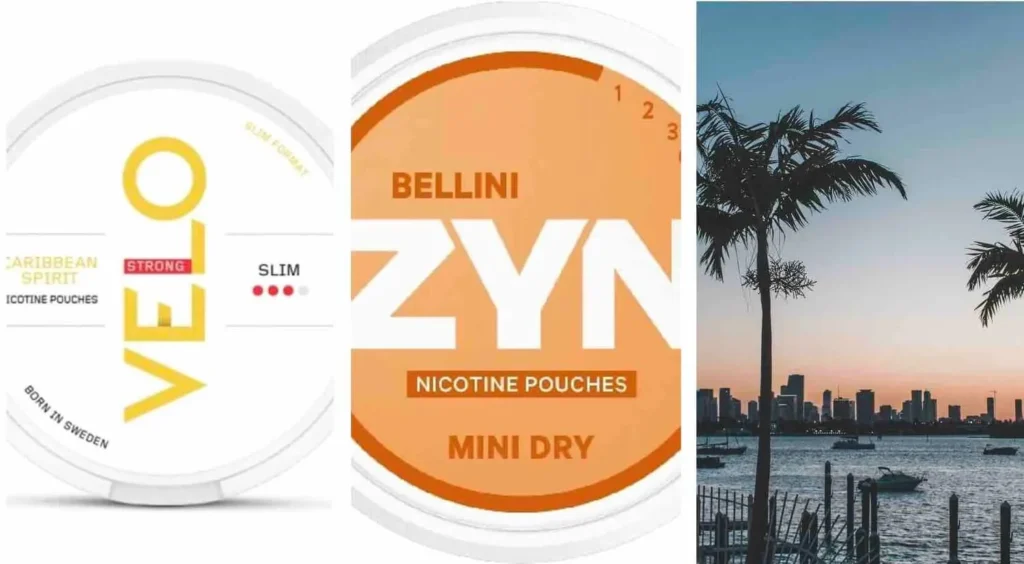 ZYN Florida - buy snus online