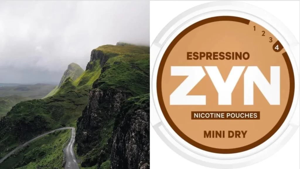 Buy Zyn snus ireland