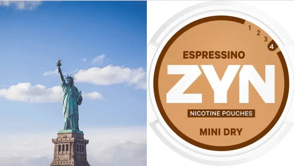 buy swedish zyn online - zyn locator