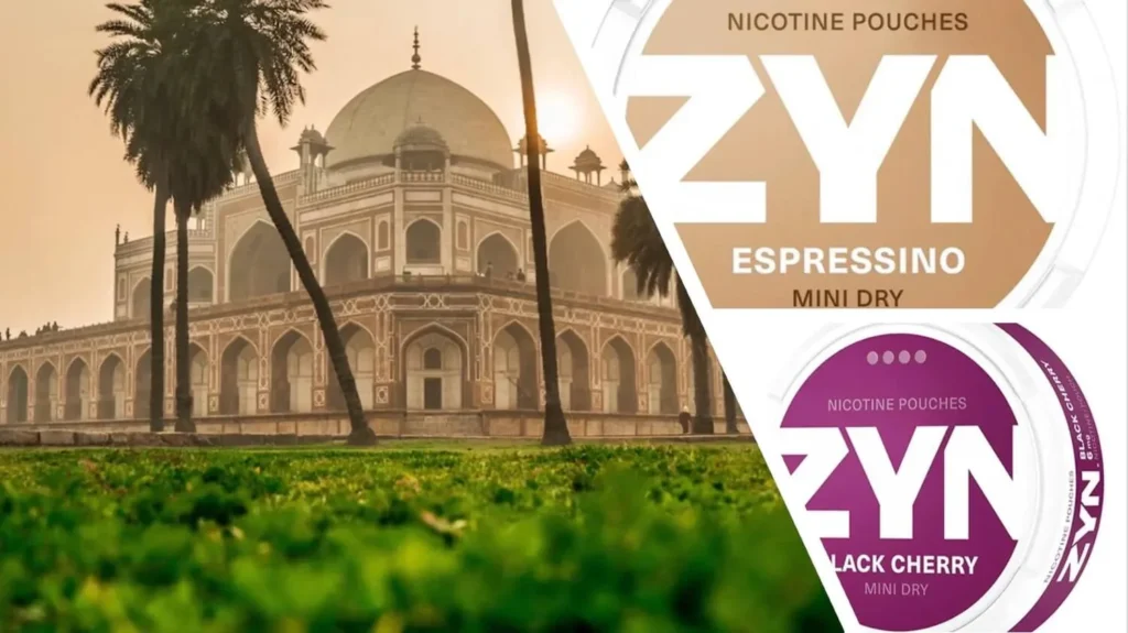 Buy snus in India - Order snus nicotine pouches in India