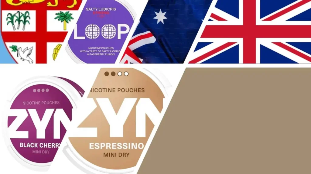 Snus Nicotine Pouches Australia - Buy ZYN Online