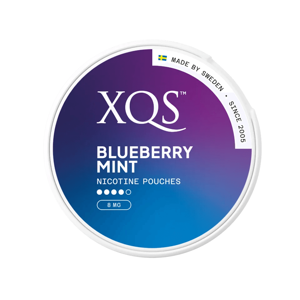 XQS Blueberry Mint Slim Strong 8mg 2