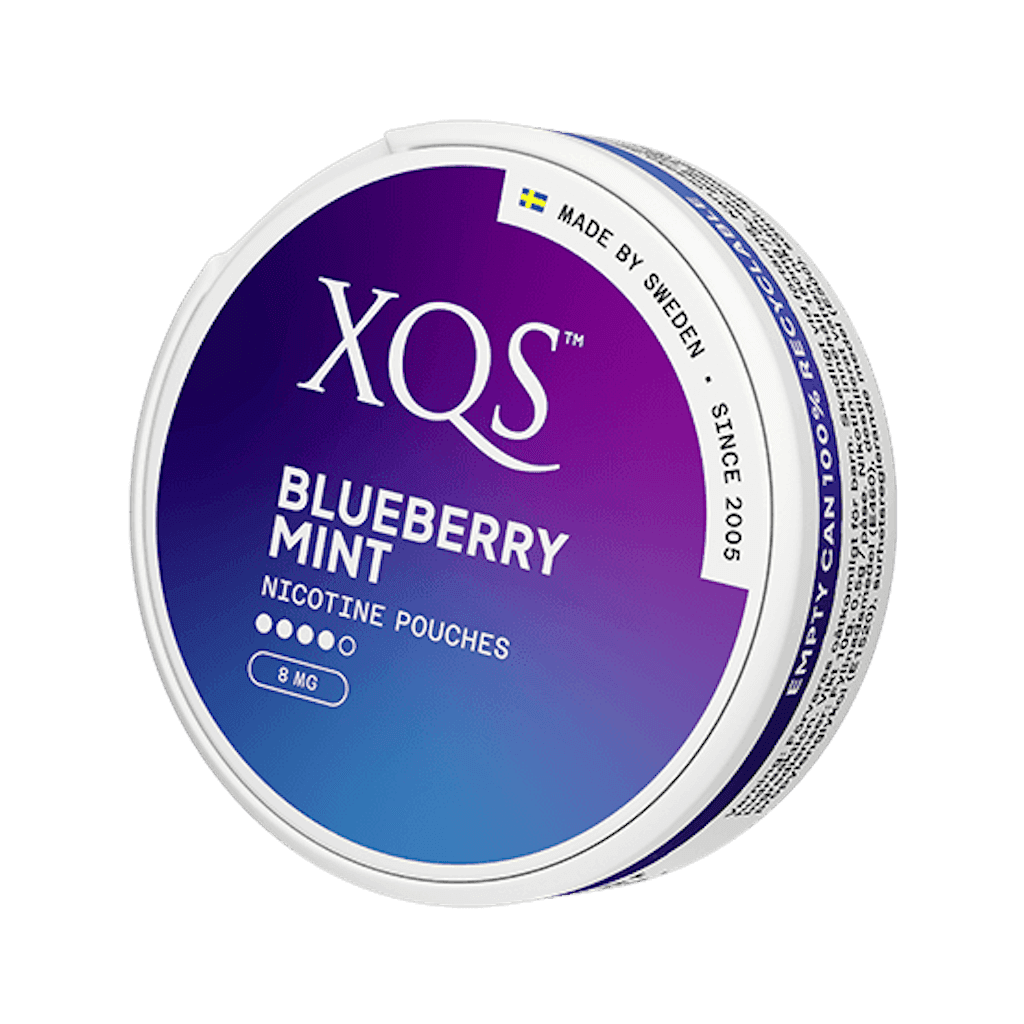 XQS Blueberry Mint Slim Strong 8mg 3