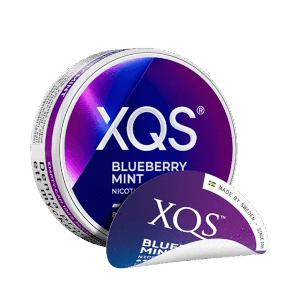 xqs blueberry mint slim