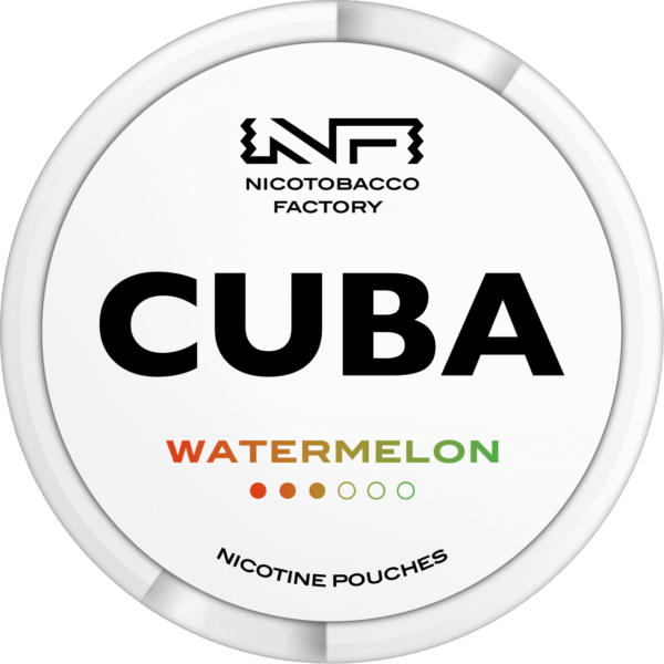 cuba white watermelon front