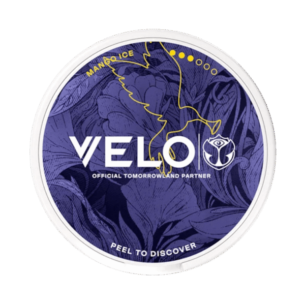 velo tomorrowland limited edition front