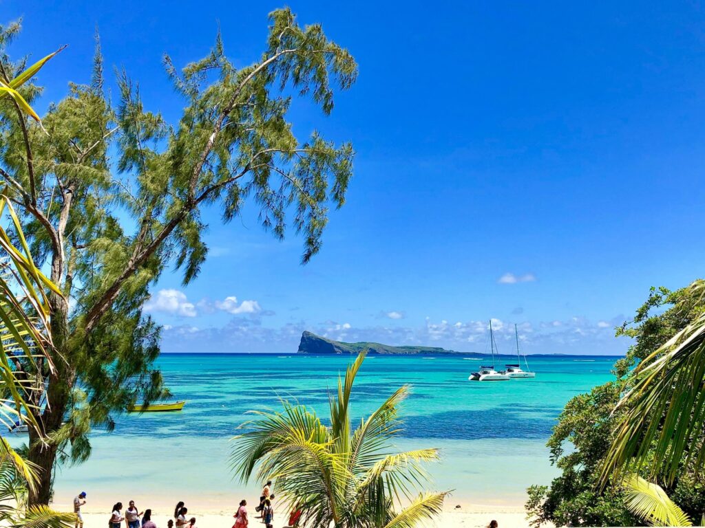 Nicotine pouches mauritius velo zyn